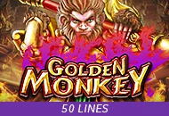 Golden Monkey - GECKO158