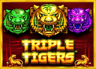 Triple Tigers - GECKO158