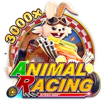 ANIMAL RACING - GECKO158