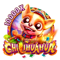 CHILIHUAHUA - GECKO158