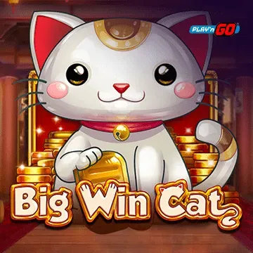 Big Win Cat - GECKO158